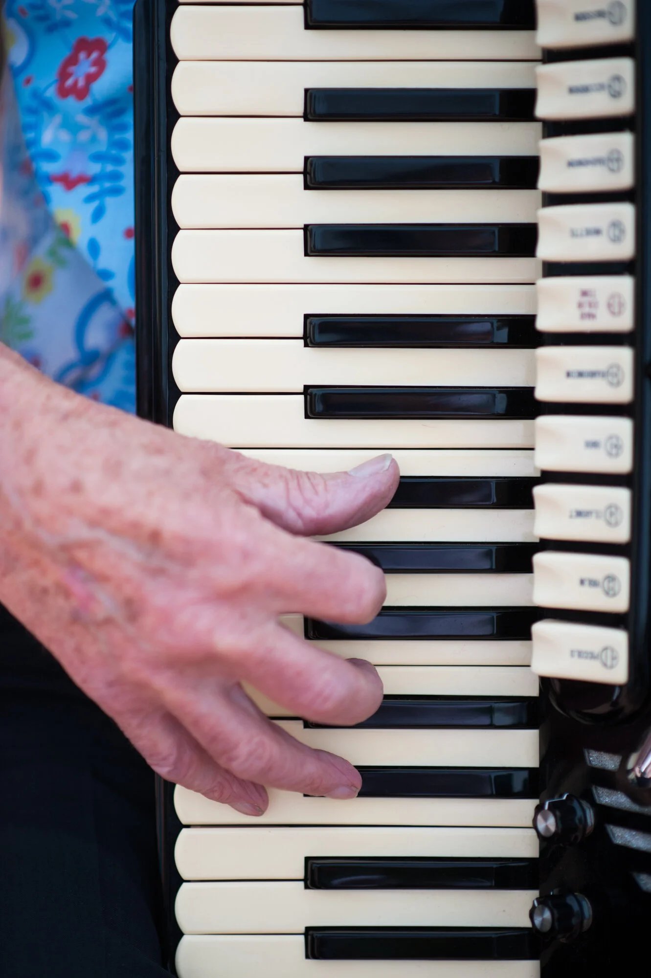 Close-up of an older musician's hand resting on the keys of an accordion