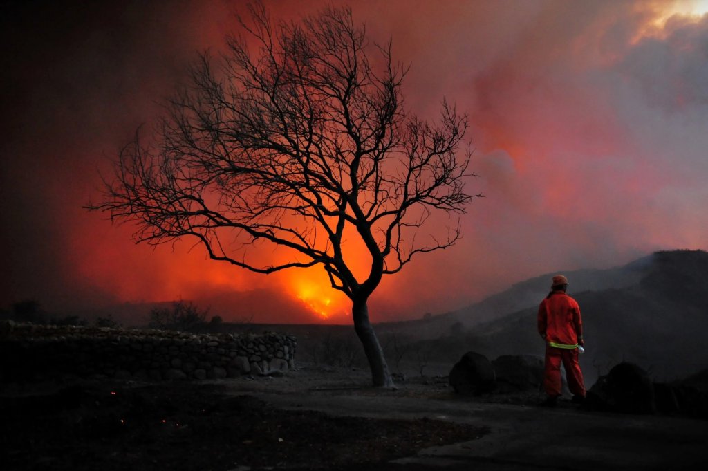 Journalism gallery: a firefighter beside a silhouetted tree as a wildfire glows red