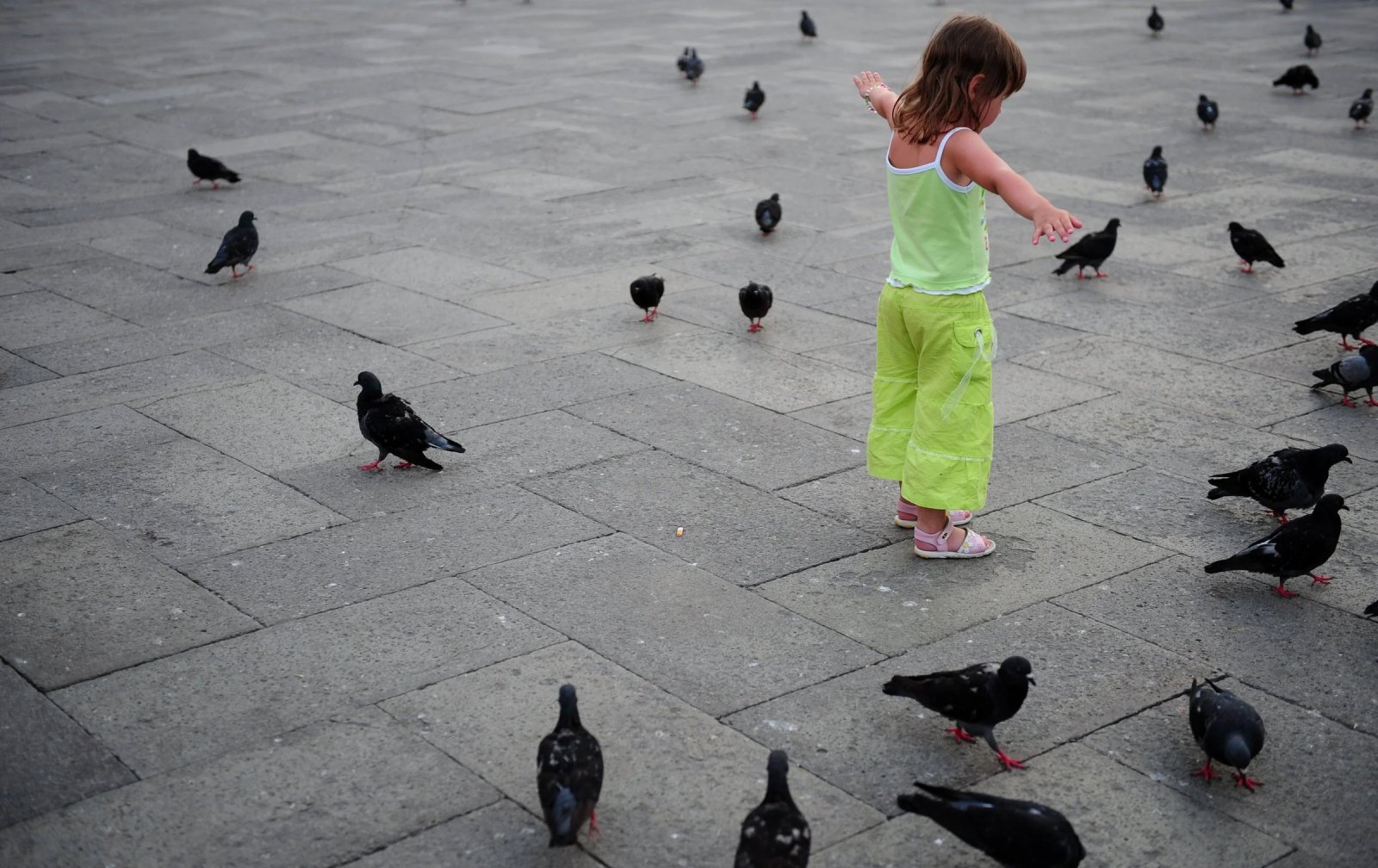 A little girl spreads her arms among pigeons in a stone-paved plaza